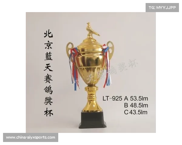 世界无人机足球锦标赛发布会在沪举行,冠军奖杯设计融入浑天仪元素 世界无人机足球锦标赛发布会在沪举行,冠军奖杯设计融入浑天仪元素